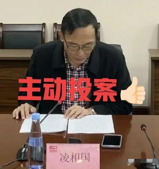 5月12日，南昌反腐❗“凌相国”主动投案了，于是看了一下他的工作履历，66岁的