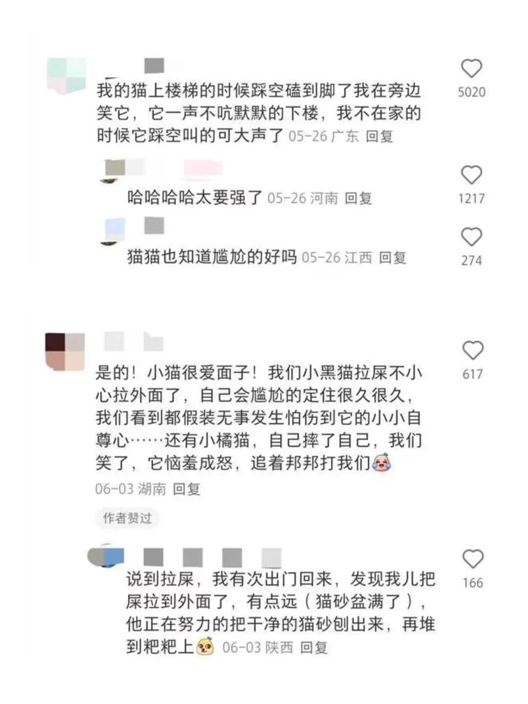 突然发现猫还挺爱面子的😂