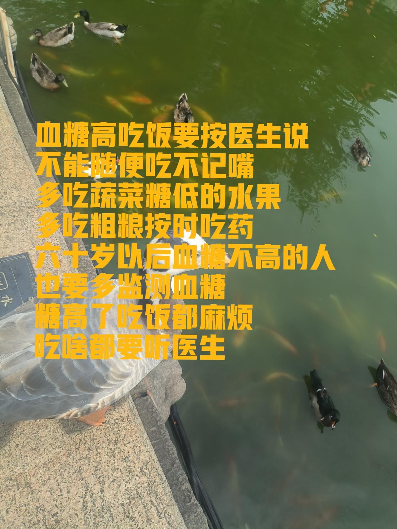 六十岁之后，不论血糖高低，都应多吃些粗粮。我见过不少血糖高的亲人和好友，为了控糖