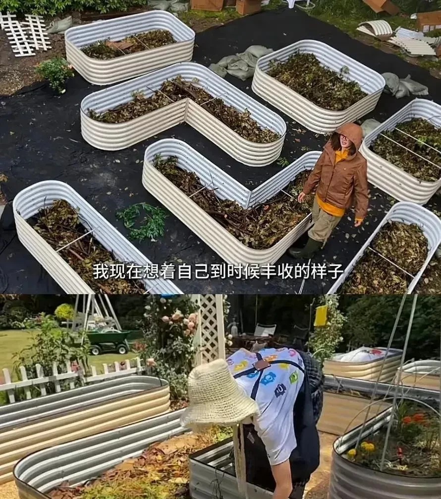 来一起见证苗苗菜园子从无到有的全过程，女神太厉害了她说想让家人孩子吃上真