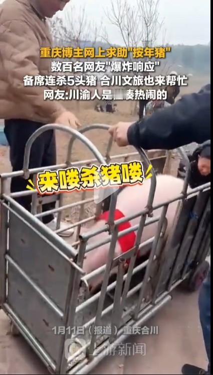 网民的最大特别就是围观，说白了就是喜欢看热闹，无论线上线下都是如此。重庆这个小姑