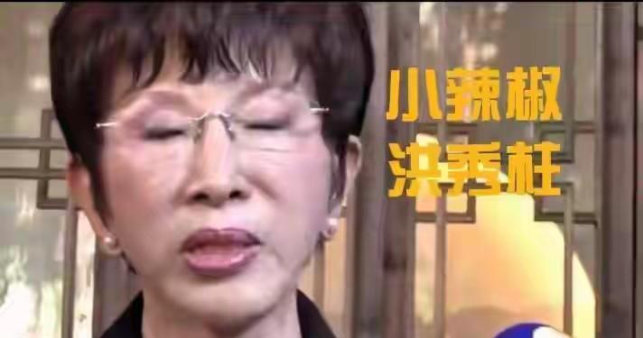 洪秀柱30秒直播握手后劲来了！洪秀柱是3日晚上回的台北，第二天陆委会副主委沈有