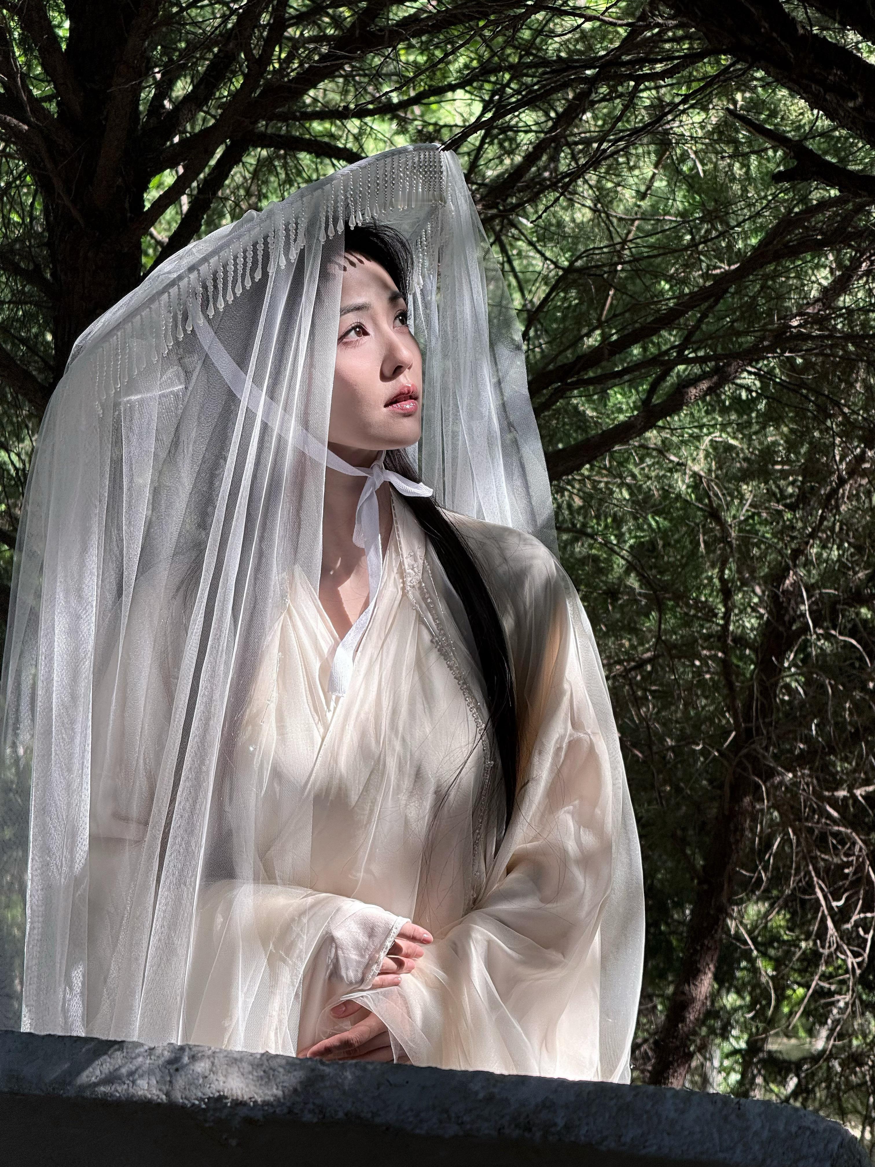 白鹿白鹿在复制粘贴的时代，你是手写的诗
