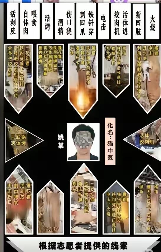 魔鬼在人间！上海一律师八年间竟然虐杀了4000多只猫咪，活绞肉，火烧，扒皮，