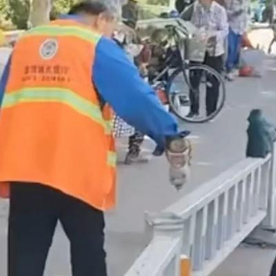"谁对谁错？"山东淄博，某劳务市场，天刚亮就站满了等活的农民工，站累了，有人顺势