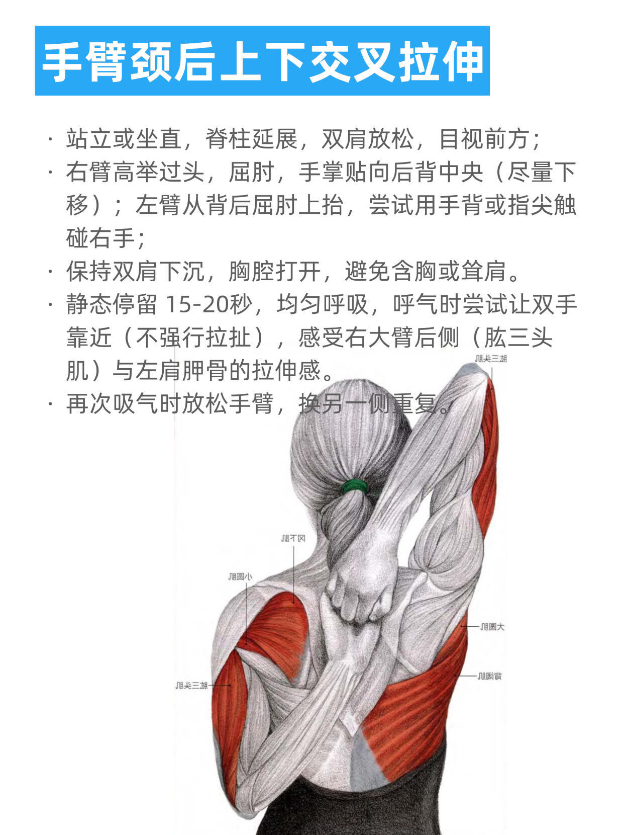 🔥就是这个拉伸！永远可以相信人民日报👍​​​