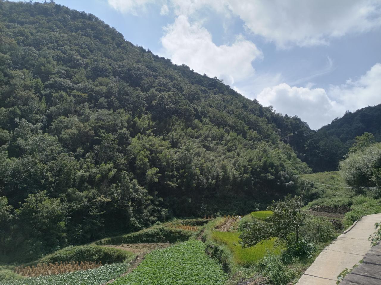 晒一晒手机里的风景照！用手机拍摄风景照片是分享美丽瞬间的好方式。以下是