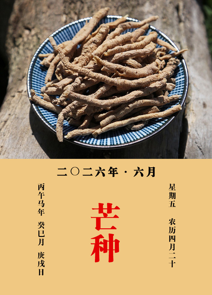 每天一味中草药甄权说：远志，治心神健忘，安魂魄，坚壮阳道，主梦邪。邹澍说：远志