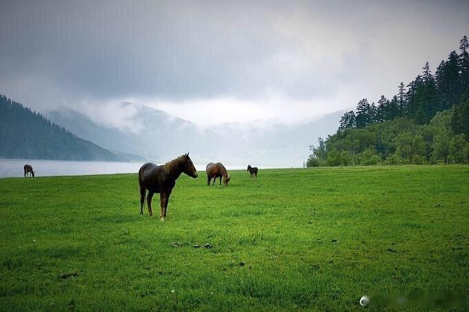 云南有个蜀都湖，位于迪庆香格里拉东北方。via:行走旅行人生