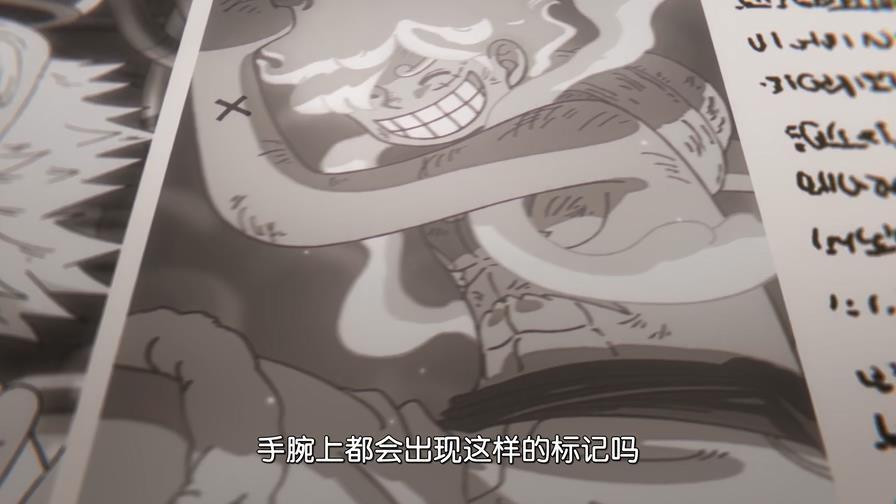 海贼王海贼王这是伙伴的标记啊！