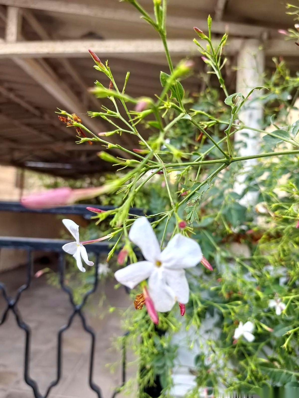 就说离谱不离谱吧。孩子都一岁了，我爸妈——孩子的亲太姥姥、太姥爷——愣是一眼都