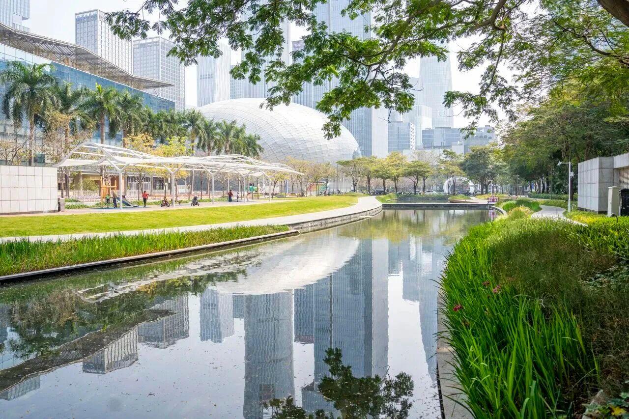 人大代表喊话：深圳湾大街要成为“来了深圳就要打卡”的示范街区~