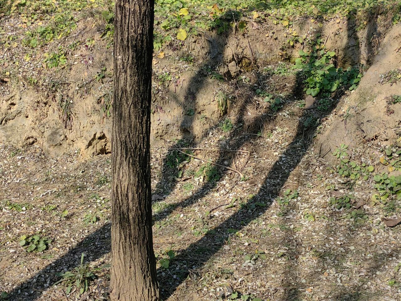 孩子的班级照了毕业合影留念，班主任发到家长群里，一位家长有异议并建议：应该提前让