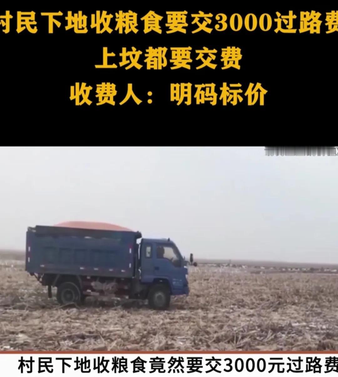 黑龙江大庆，村民开车下地收粮食，竟然要交3000元过路费，就连走路上坟都要交10