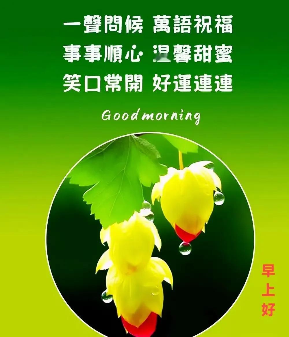 陽光明媚春風暖，出門踏青精神爽，清晨問候送祝福，吉祥平安伴健康。早上好！