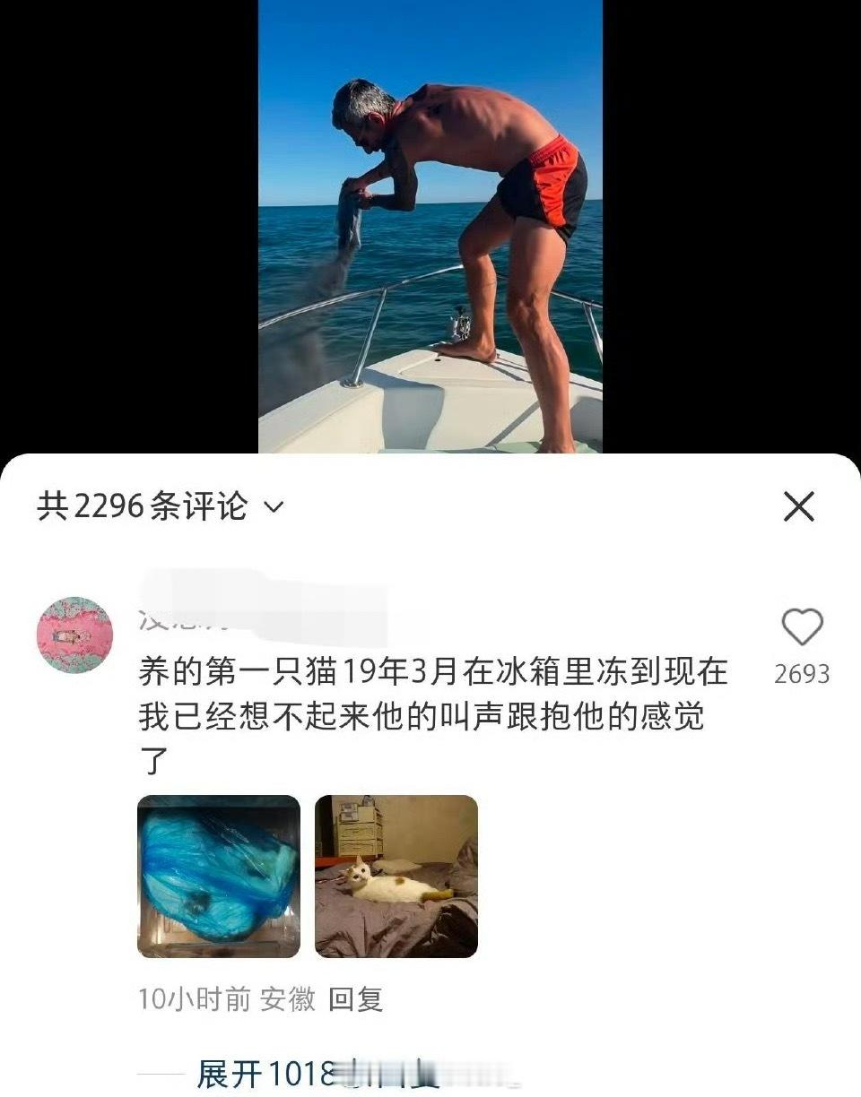 把猫放冰箱冻了六年……​​​