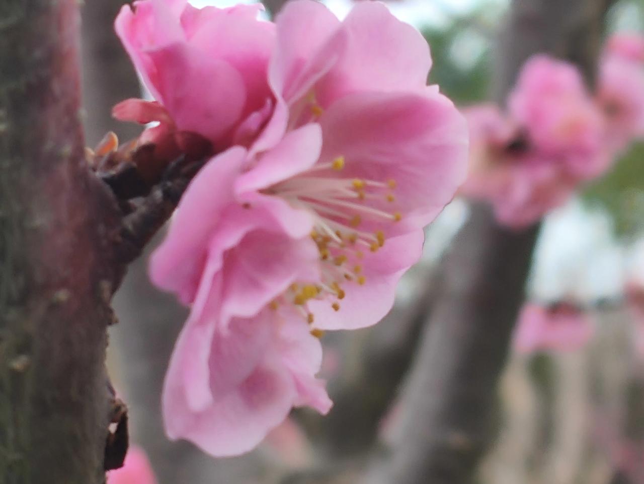 我不喜欢李连杰没有违法也没有不违规你告诉我一个演绎的共和国怎么就是外国