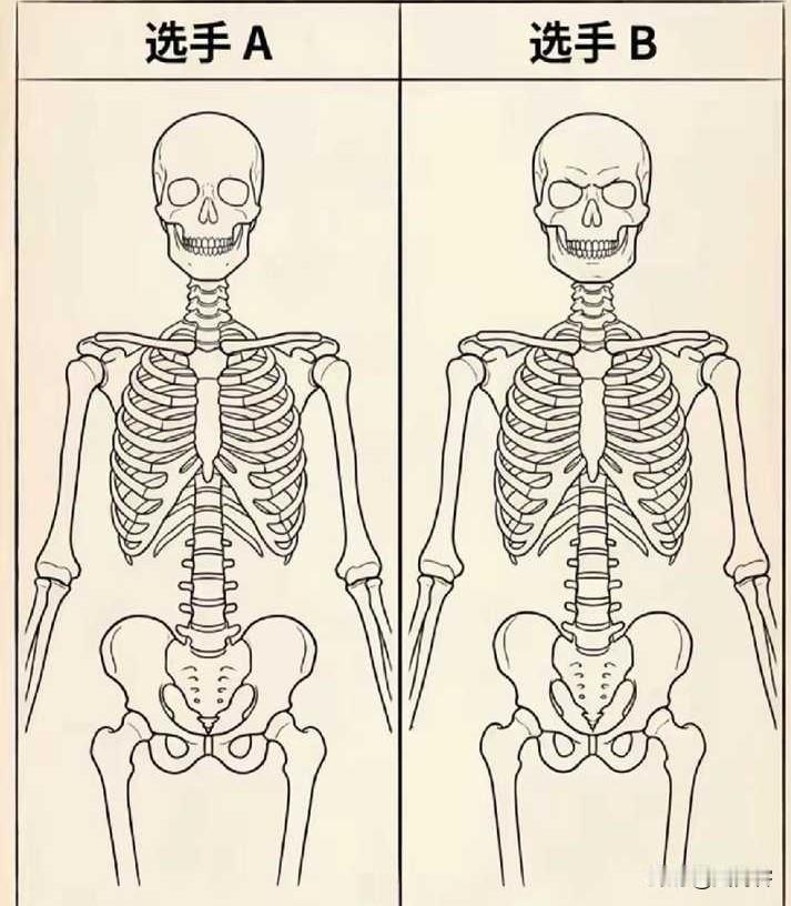 骨骼大猜想:你能分辨男女吗？