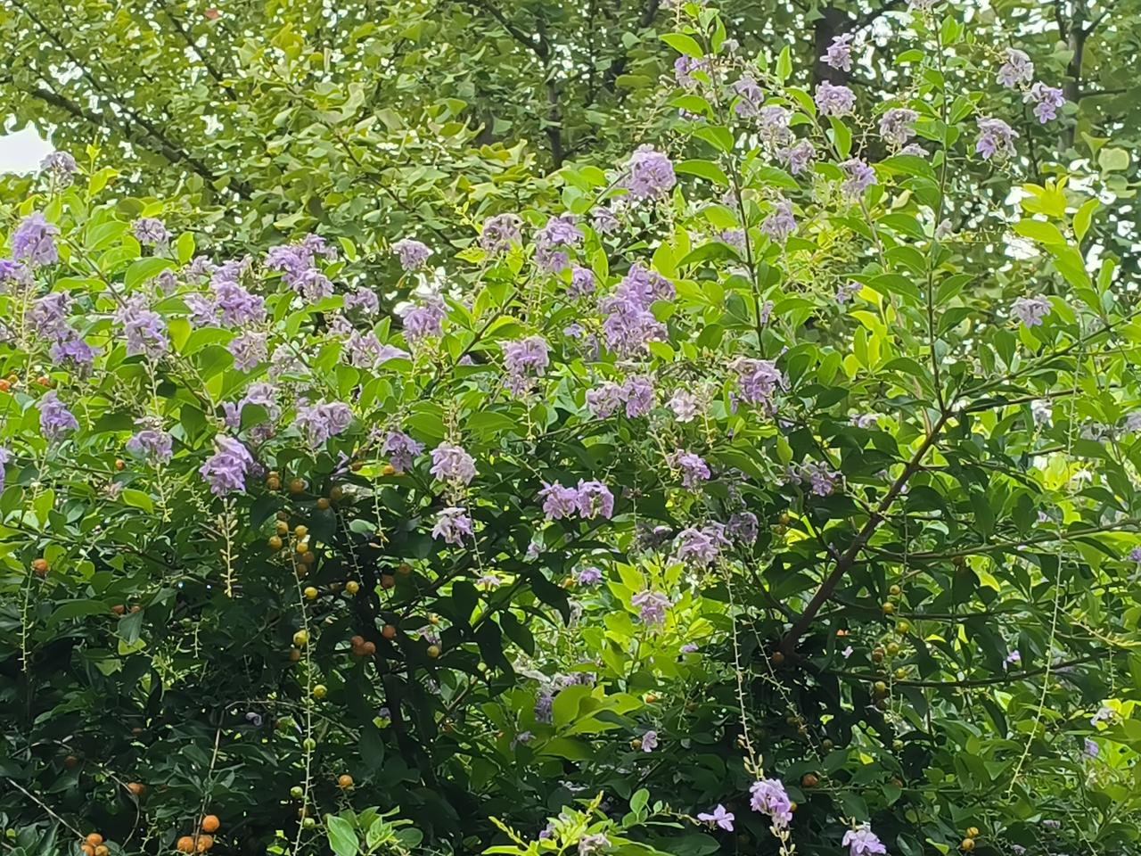 现在网贷可真害人啊！我有一个朋友，是干个体的，在他们家小区门口开了一家小超市