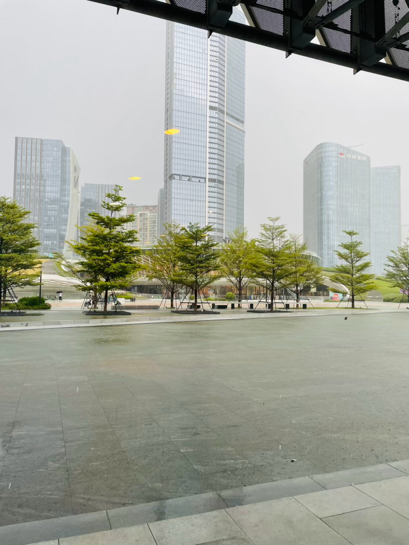 深圳台风判断失误，不是说台风凌晨才来吗？现在就开始下大雨了啊