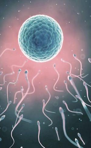 上学时科学老师说你是当年精子里面跑得最快的那一个。但事实上，过去这几年里，全球的