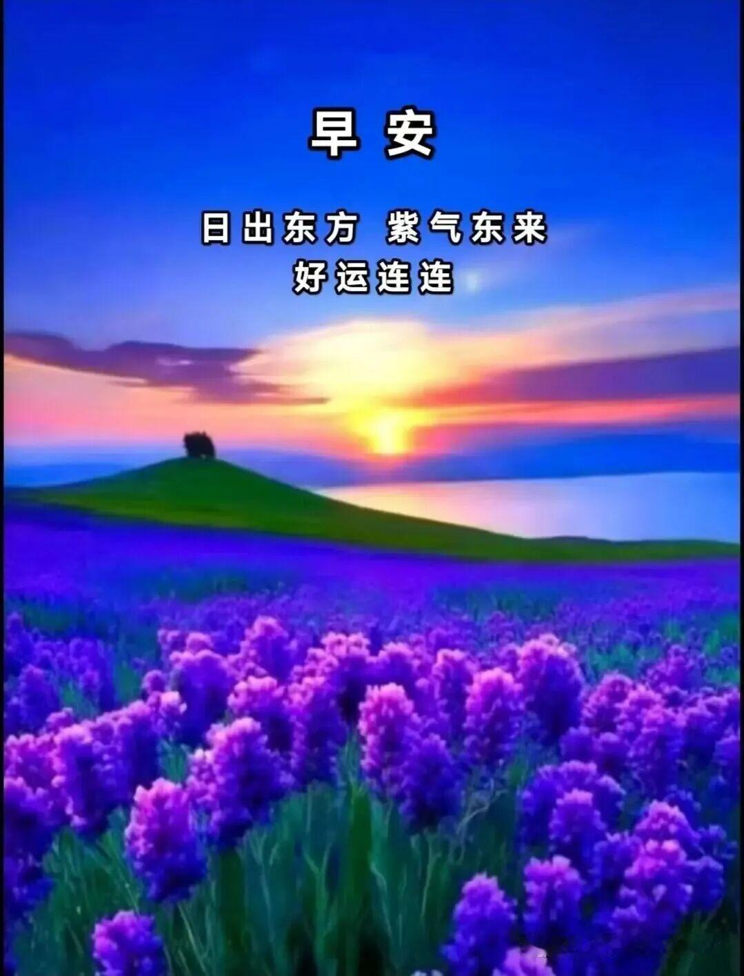 今天又是新的开始，感激身旁的朋友默默相伴，真诚送上祝福，愿心愿和祈愿，祝福朋友幸