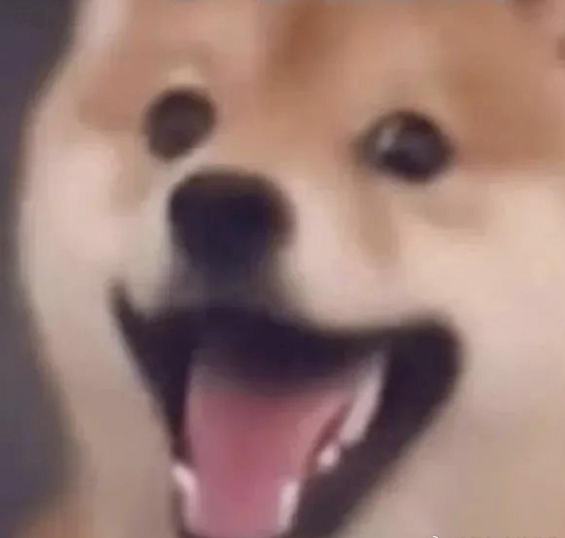 感觉她上的才是真大学感觉她过的才是真大学，那种氛围和状态，跟自己经历的完全不一样