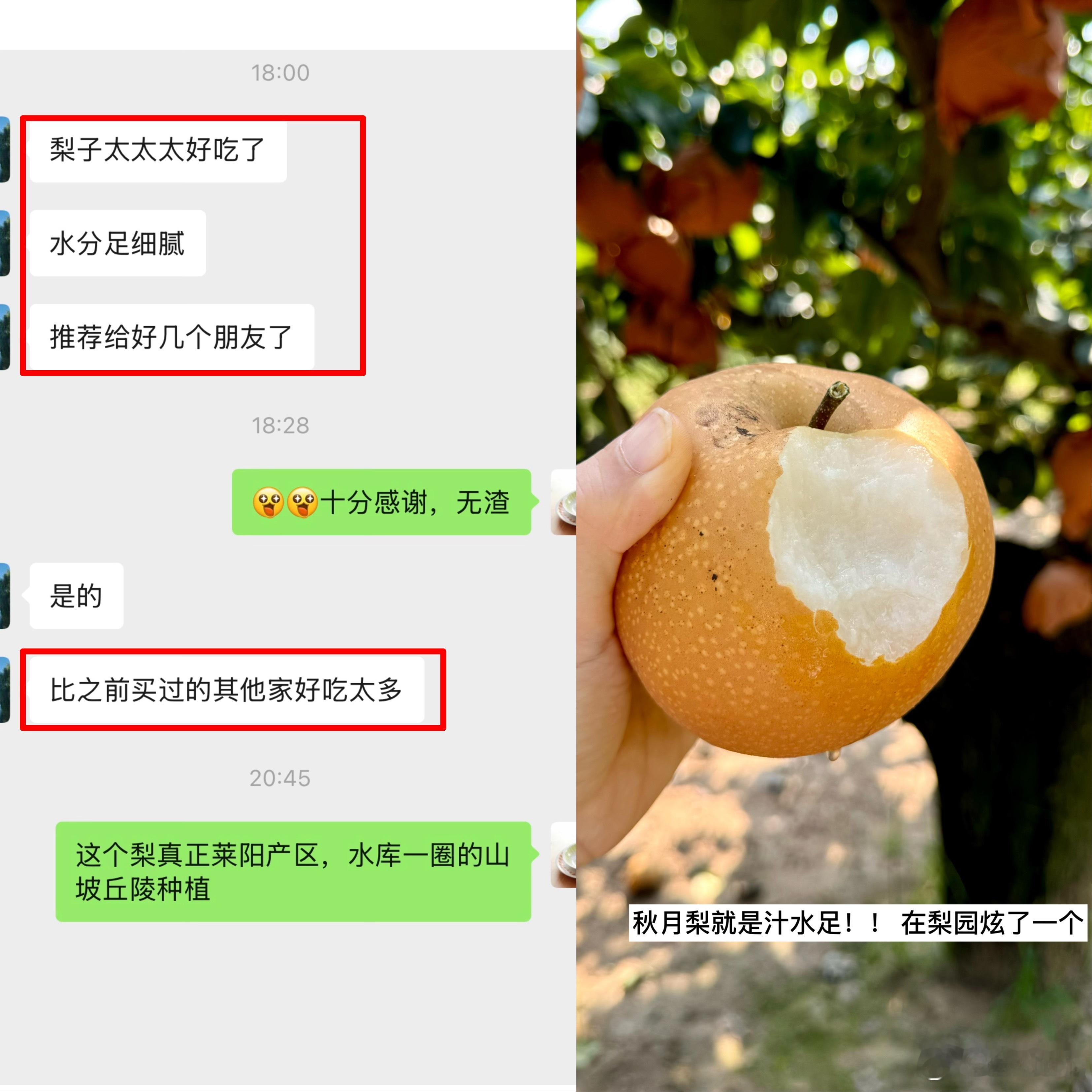 今早吃山东特产：吃梨、吃大虾​​​