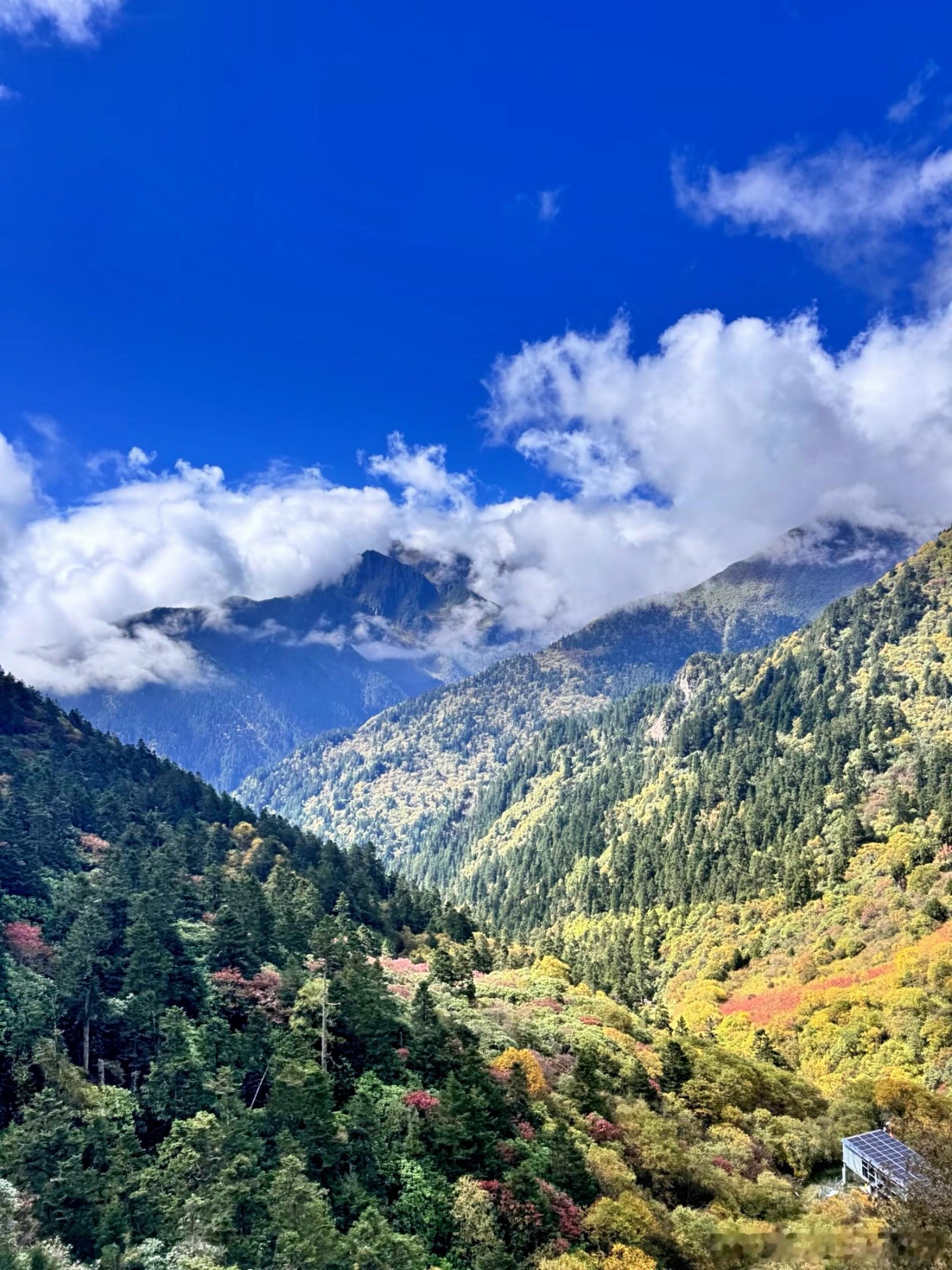 成都1日徒步天花板🔥阿尔沟10km云端之旅谁懂啊！成都出发1日往返的徒步秘境，