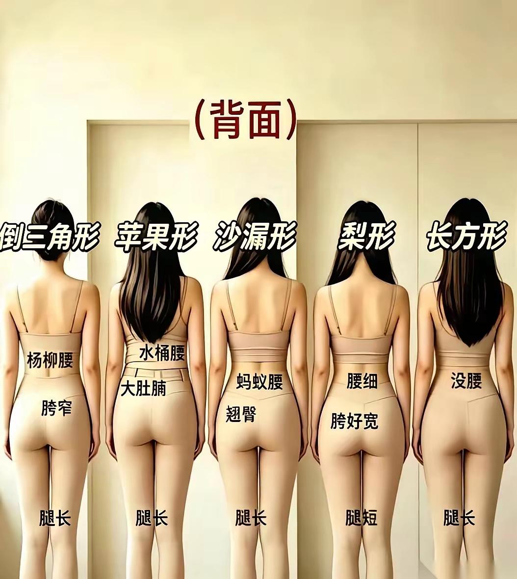 我认为最美的是①长方形②倒三角形③梨型④沙漏型⑤苹果型。你们认为哪个体型最漂亮。