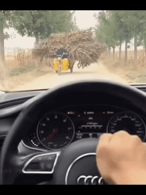 还以为司机怕弄脏自己的车原来司机是好人
