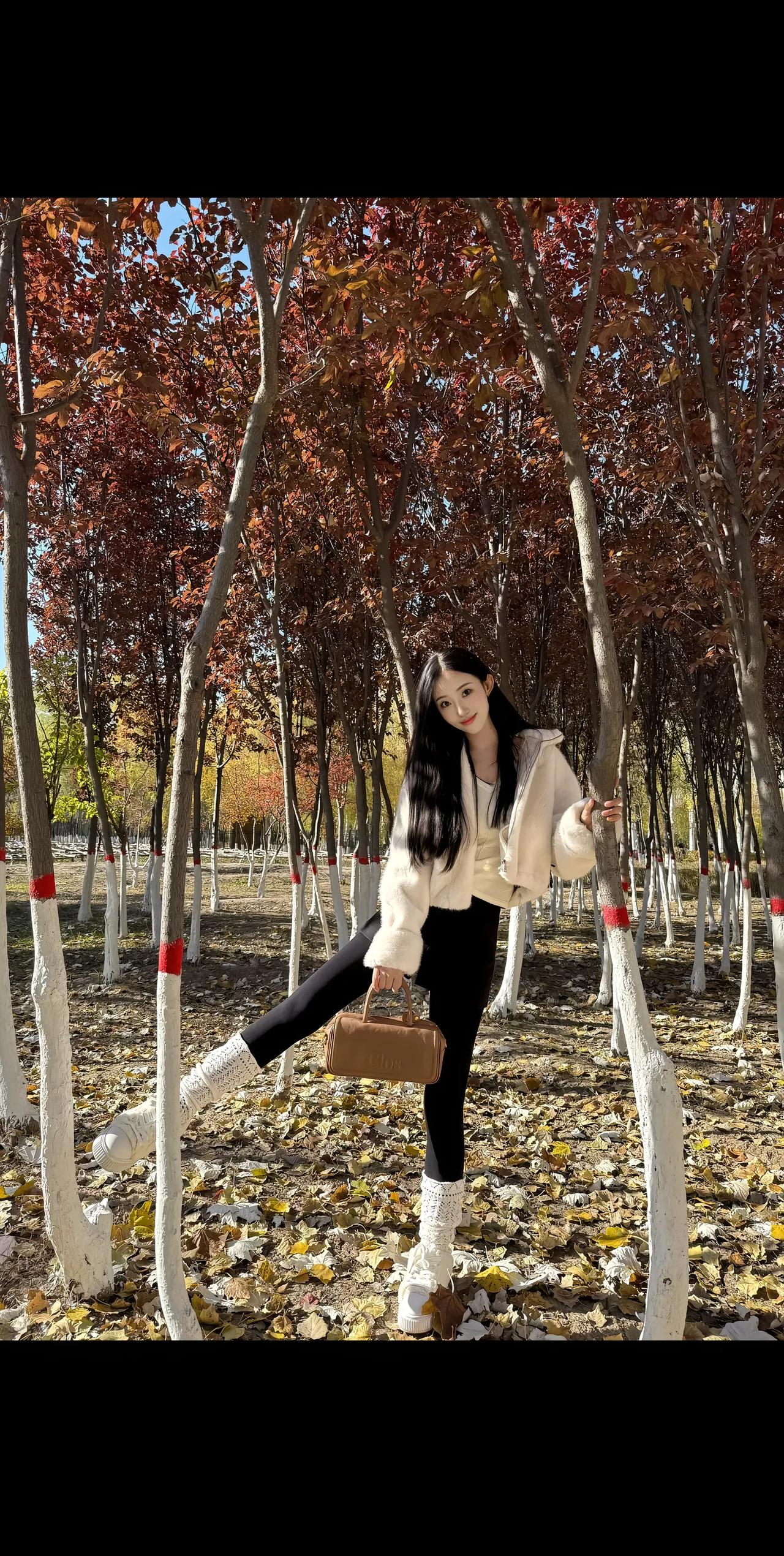 秋日漫步，落叶飘舞，温暖穿搭，享受自然。