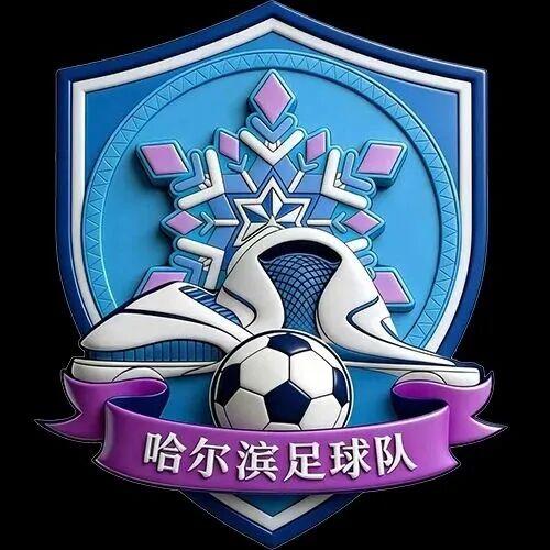 哈尔滨造猫画虎要学苏超村BA吗？东北超落户县城贻笑大方。办民间