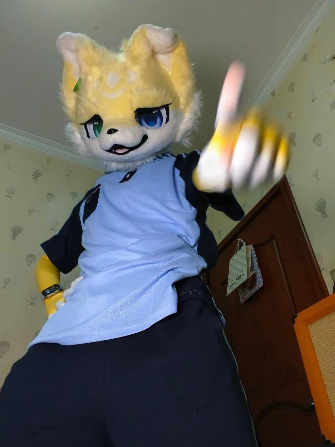 谈对象吗，我吃星球杯不用勺子正常穿搭福瑞兽圈furry