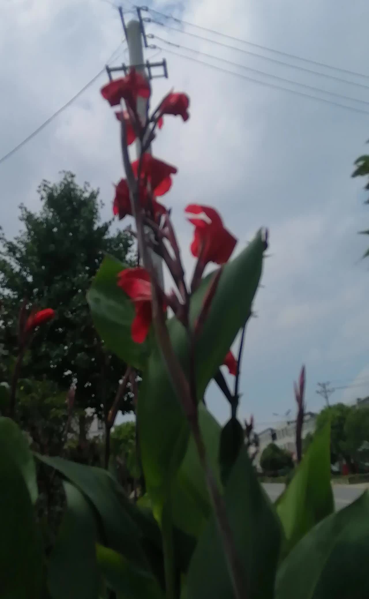 人真是一样生，百样的死啊！今天我出去拿快递，又碰到了一个老人跟我们讲，她们村