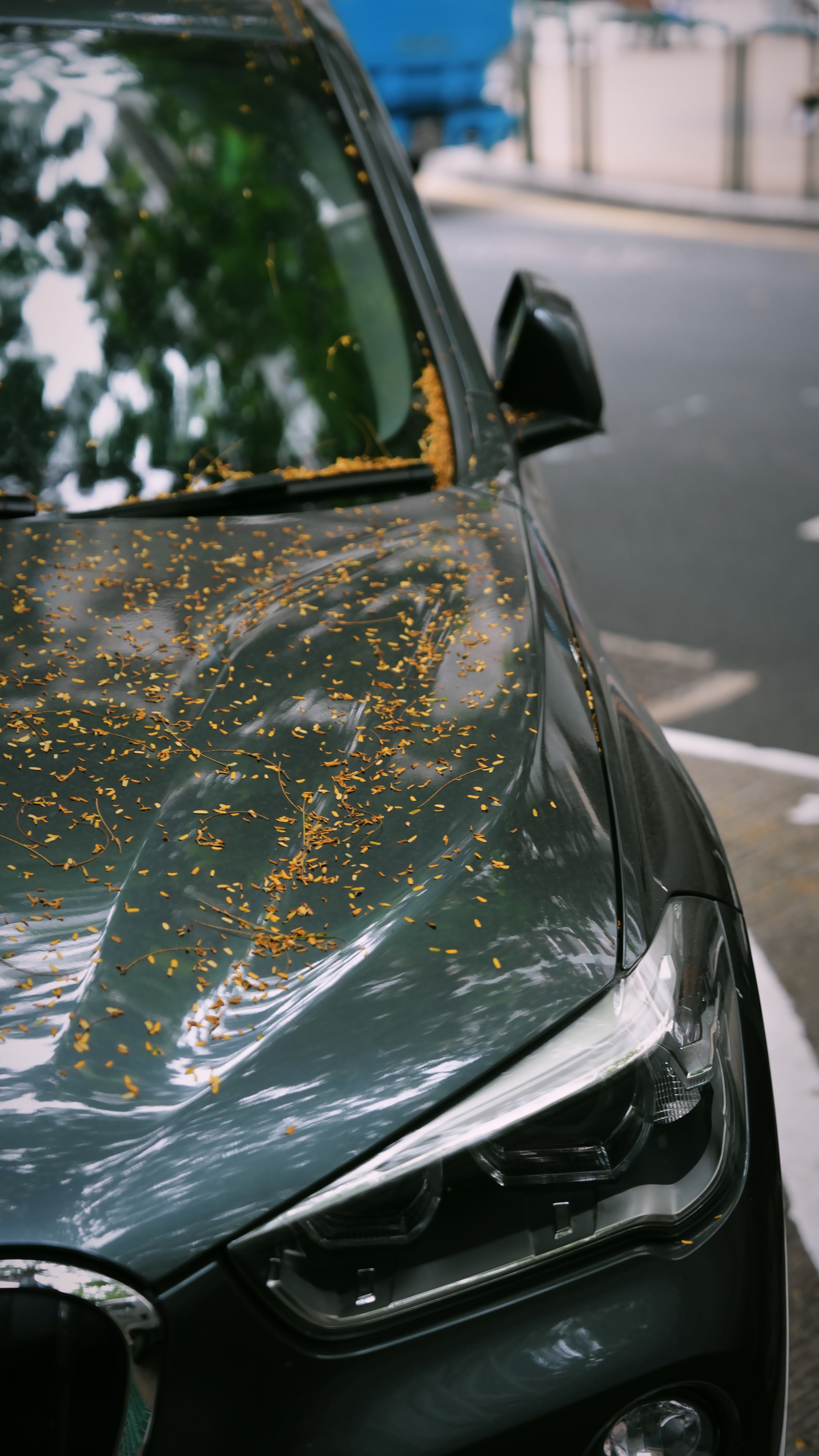 相比香港来说，澳门要舒服很多，节奏很慢，指数很强，我喜欢澳门·澳门日报