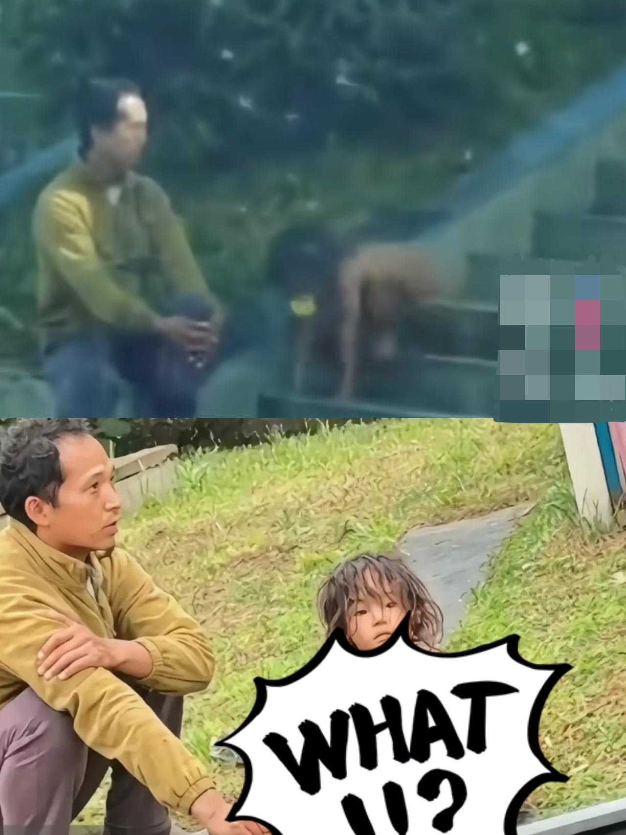 原来野人小孩的父母收入是这么来的啊不是他们打工赚的钱也不是靠拍野人小孩的猎奇