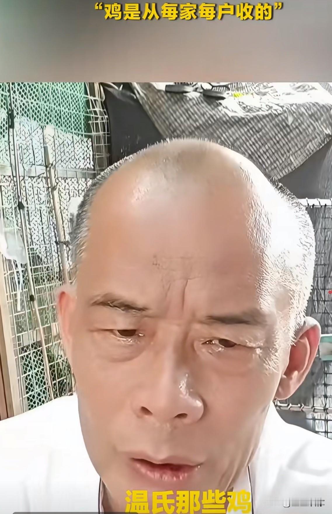 广东人对鸡的挑剔，在莫氏鸡煲老莫这句“温氏鸡不符合要求”里体现得淋漓尽致。你说的