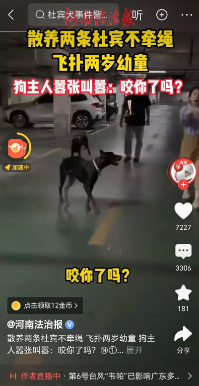 狗主人养烈性犬不拴绳，惊吓幼童不道歉反而嚣张至极。消息来自河南法制报发布的视