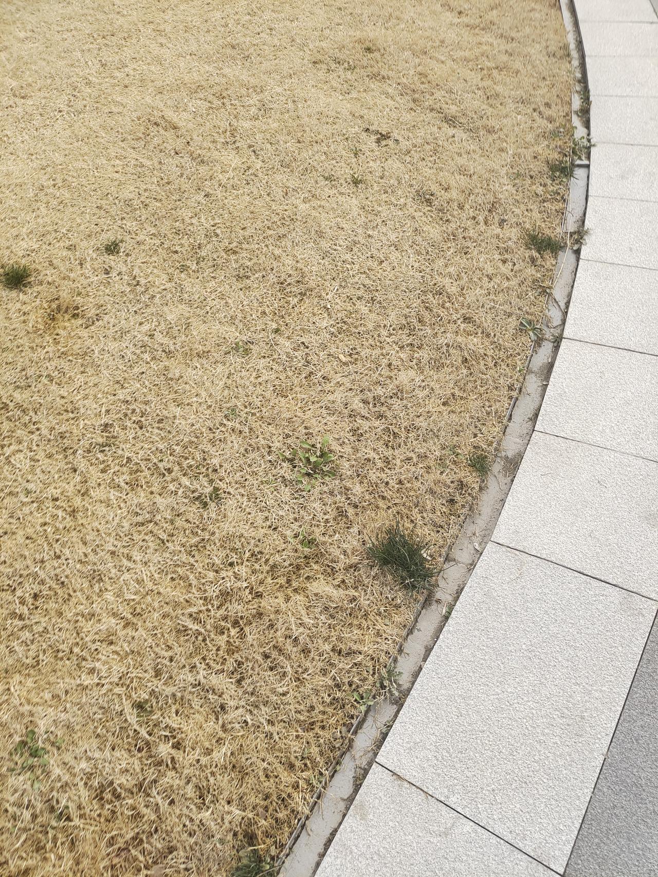 长得好不好看没有用，要命好才有用，因为幸福这个东西不卡颜不卡钱不卡身材不卡