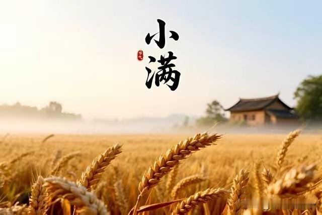 今日8点36分小满，提醒大家：1要祭，2要祈，3要吃，4要抢今天8点36分