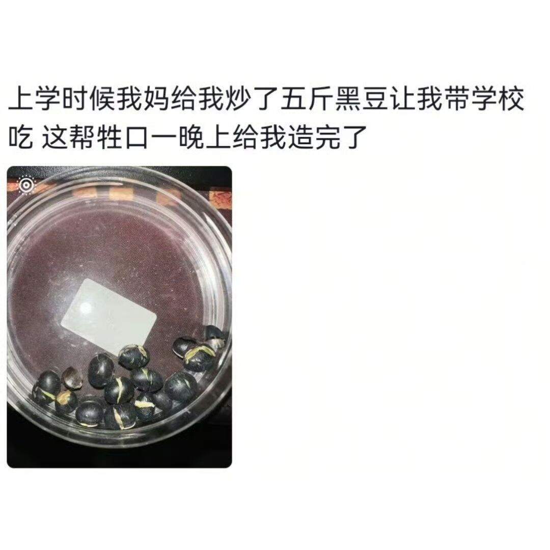 当你从家里带了吃的去宿舍​​​