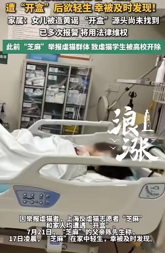 上海反虐猫志愿者“芝麻”在宠物群交流时，突遭大批人员涌入发送剥皮抽筋等血腥虐猫视