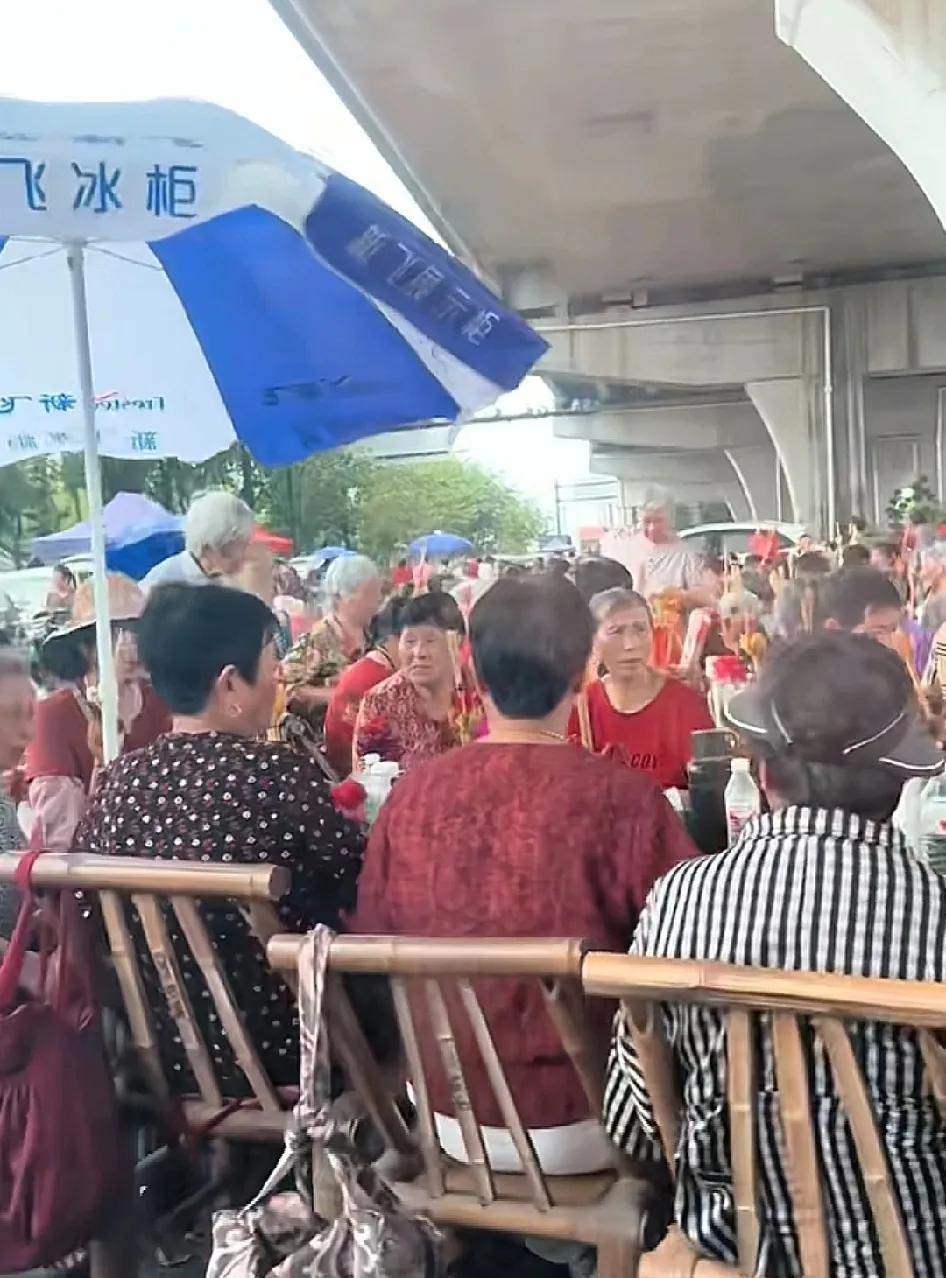 浙江十里八乡的奶奶都来到了这里，当年造杭州湾跨海大桥打不下桩基，老奶奶们念了3天