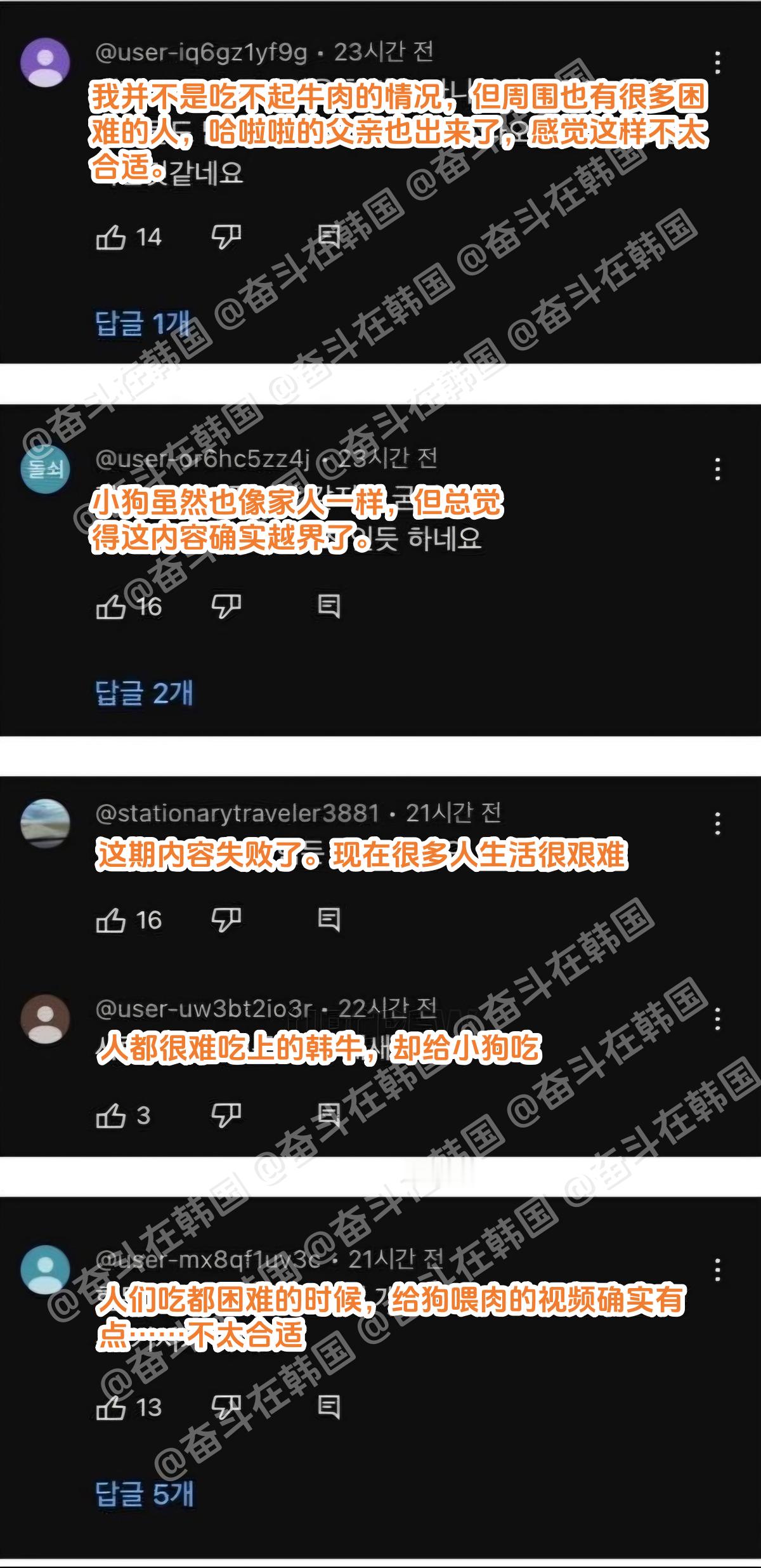 韩国一个youtuber拍了一篇给小狗吃牛肉的视频，评论区炸锅了...海外新鲜