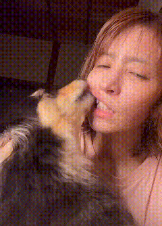 不怕狂犬病？