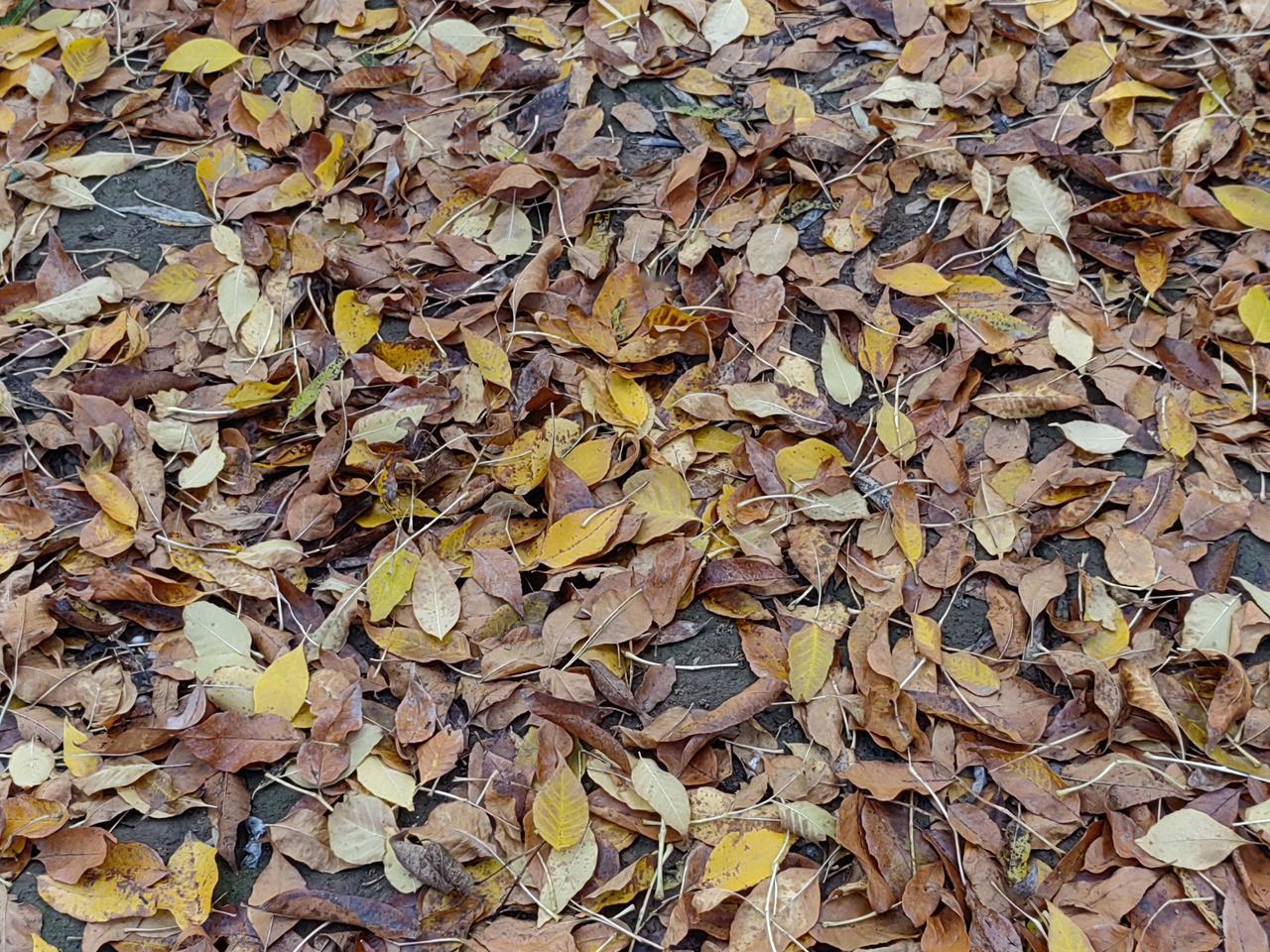 高市早苗献媚，特朗普假装不解风情。日本反华猖狂，攻击中国还要倒打一耙，竟然想要