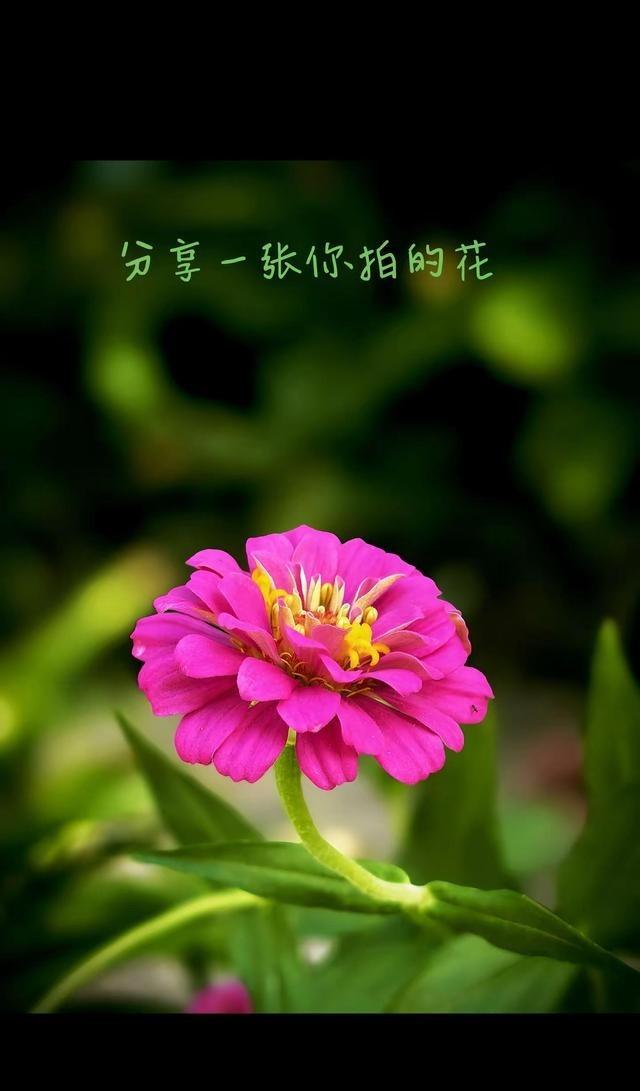 很多人换了新手机，第一反应是：镜头更大了，像素更高了，照片应该自然更好看。可真正