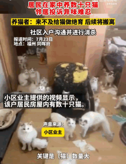 有爱心却没公德心！福州女子居家养猫泛滥，一己偏爱拖累整栋邻居7月23日媒体曝