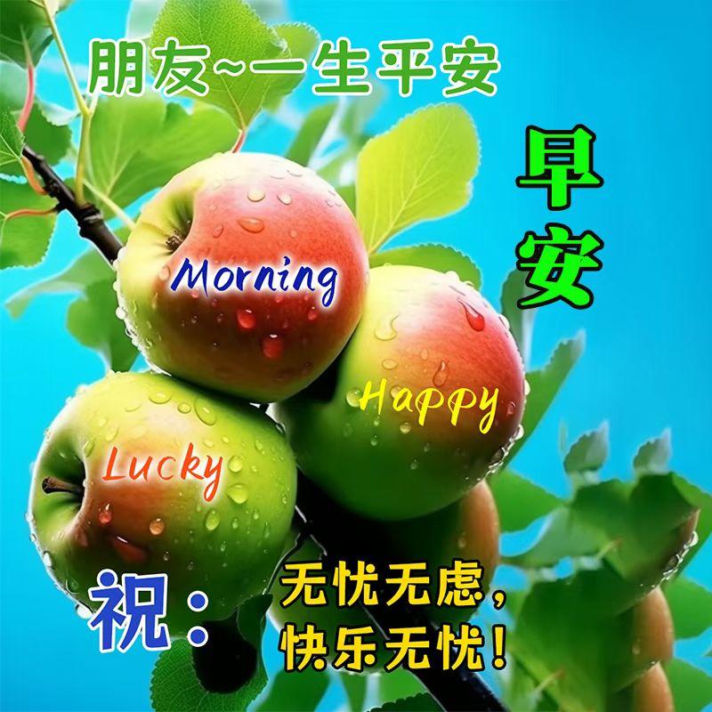 早上好，愿大家财源滚滚，福气满满[玫瑰][玫瑰][玫瑰]